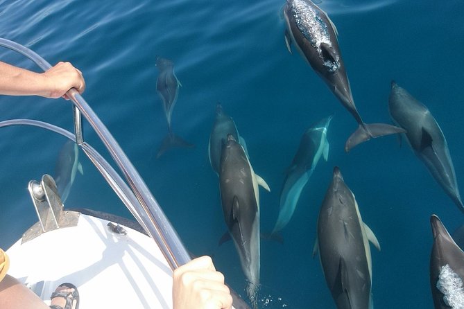 2 h Estepona Bay Tour - Food, drinks, and shaded comfort that make the difference
