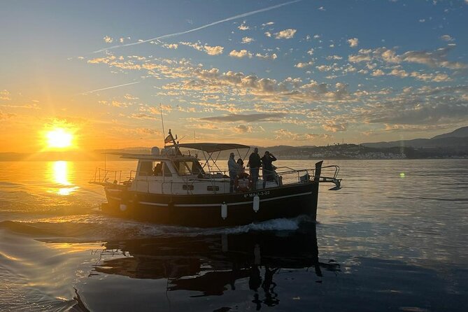 2-Hour Excursion in Search of Dolphins/ Includes Drink and Snacks - Dolphin Sightings: The Reality Check (and the Best Mindset)