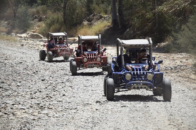 2 Hours Buggy Safari Experience in the Mountains of Mijas with Guide - Who should book this Mijas buggy safari, and who might skip it