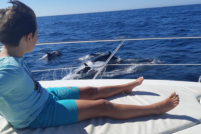 2 Hours Dolphin Watching in Marbella - Key highlights worth caring about