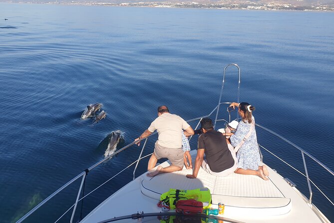 2 Hours Dolphin Watching in Marbella - Snorkel Gear and Paddle Surfing Time