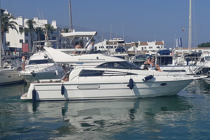 2 Hours Dolphin Watching in Marbella - The Dolphin Guarantee: Go for the Experience, Not the Promise