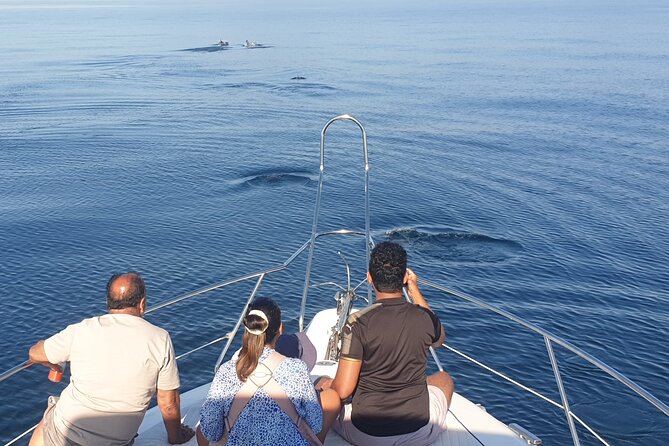 2 Hours Dolphin Watching in Marbella - Getting Ready: Small Things That Make the Day Easier