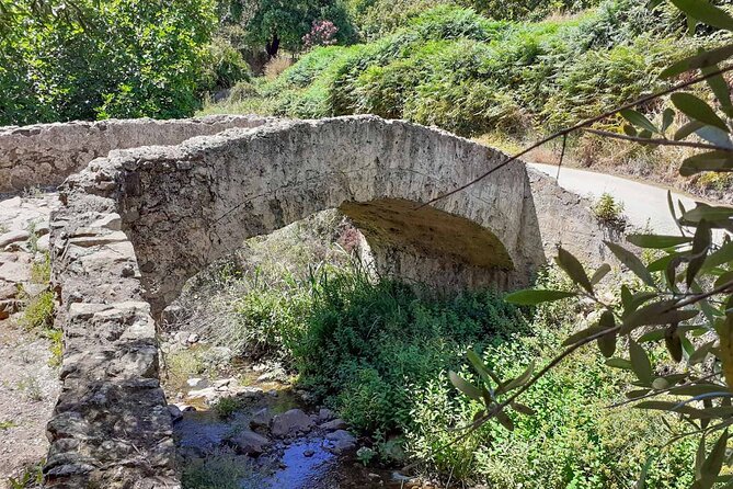2 hours Quad Tour in Marbella - 1 quad for 1/2 persons 170€ - Marbella Quad Tour Basics: Fast, Active, and Surprisingly Simple