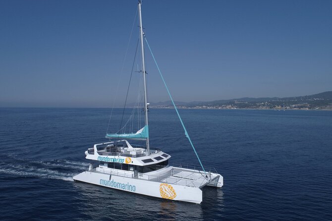 3-Hours Catamaran Tour in Malaga with Paella - Price and value: why the cost can feel fair, or not