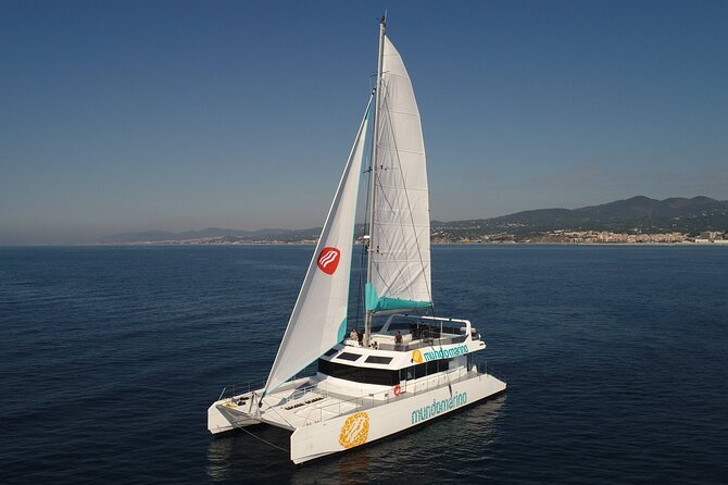 3-Hours Catamaran Tour in Malaga with Paella - Who should book this catamaran paella sail, and who should skip it