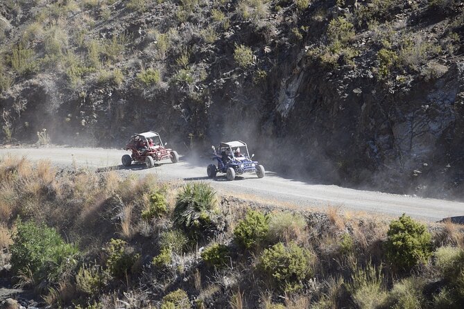3 Hours Guided Buggy Safari Adventure in the Mountains of Mijas - Price and what you really get for $228.27