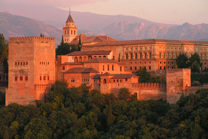 Alhambra and Albaicin Private Day Trip from Malaga - Royal Chapel of Granada: one hour, many layers