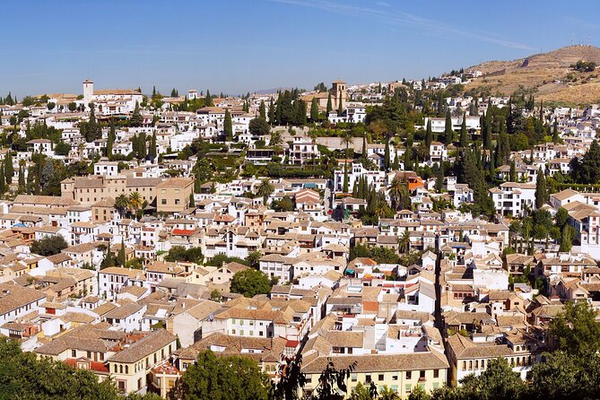 Alhambra and Albaicin Private Day Trip from Malaga - Price and value: what $496.83 per person is buying