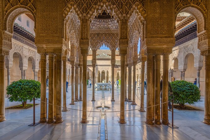 Alhambra and Granada Private Tour from Marbella, Malaga and port - Why Alhambra private access feels worth it