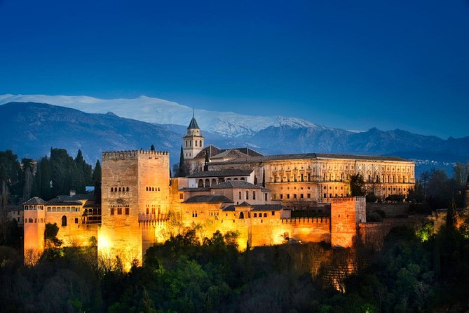 Alhambra, Nasrid Palaces and Generalife Private Tour from Malaga - Price, what’s included, and why it can be worth it