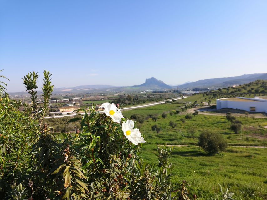 Antequera: Dolmens and El Torcal Tour with Transfer - Key highlights I’d plan around