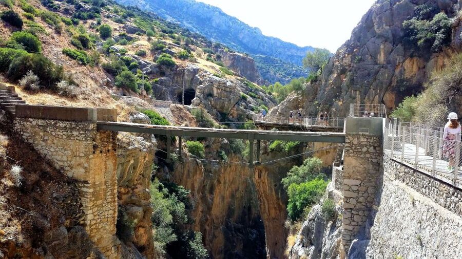 Ardales: Caminito del Rey Group Walking Tour - Wildlife Moments and Bilingual Guides: How the Story Changes What You Notice