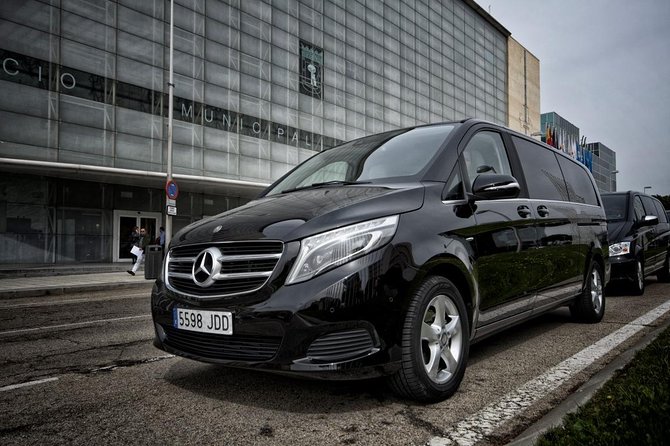 Arrival by Van from Málaga airport AGP to Marbella city - Luggage Rules and Group Size: Keep It Simple