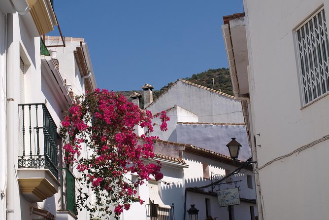 Authentic Andalusia - Jeep Eco Tour (pick up from Marbella - Estepona) - Guides and what you should look for in the way they run the day