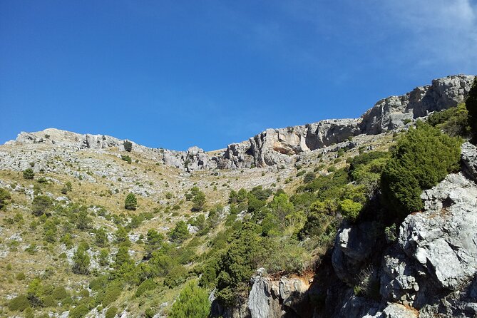 Authentic Andalusia - Jeep Eco Tour (pick up from Marbella - Estepona) - Value check: what $139.07 covers and what you should budget for