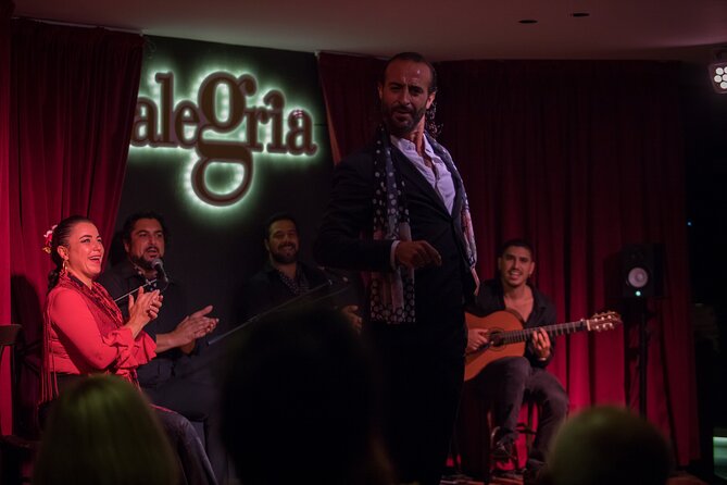 Authentic flamenco show. Alegria and gastronomy Malaga - What Happens During the 1-Hour Show
