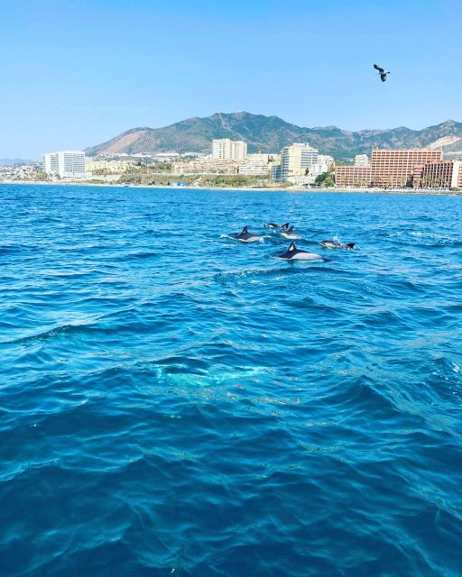 Benalmádena: Costa del Sol License-Free Boat Rental - Sunset Time and Photo Stops, How to Get the Best Shots