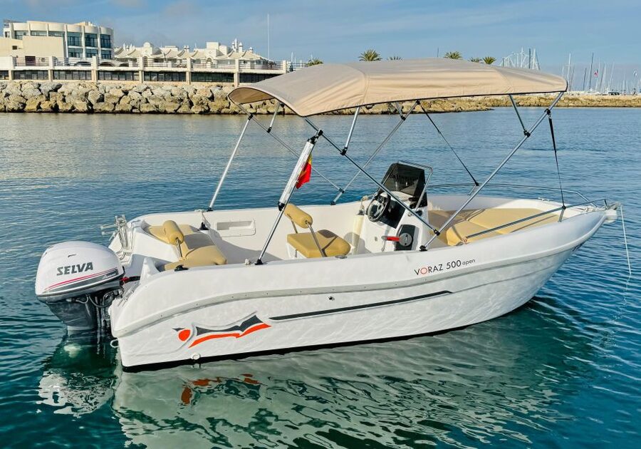 Benalmádena: Costa del Sol License-Free Boat Rental - Dolphin Watching That Feels Natural, Not Forced