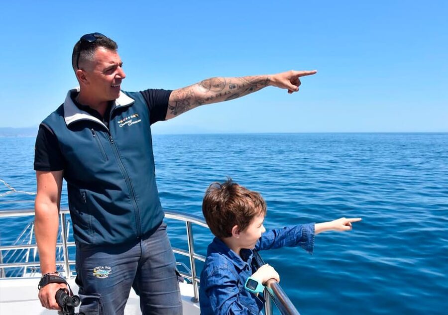 Benalmadena: Dolphin Watching Boat Tour - Dolphin watching from Benalmádena, what the trip really feels like