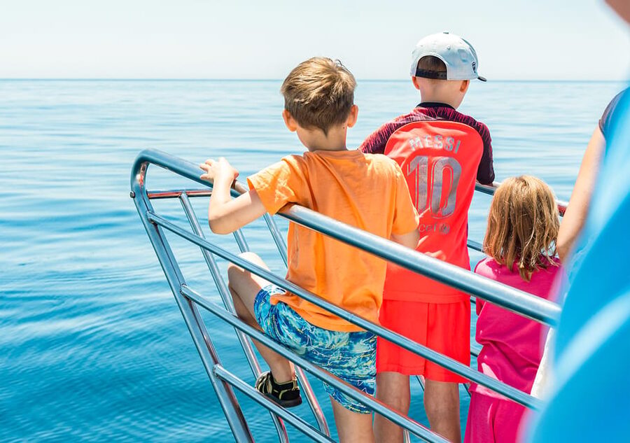 Benalmadena: Dolphin Watching Boat Tour - The dolphin stop, underwater windows, and your best photo odds