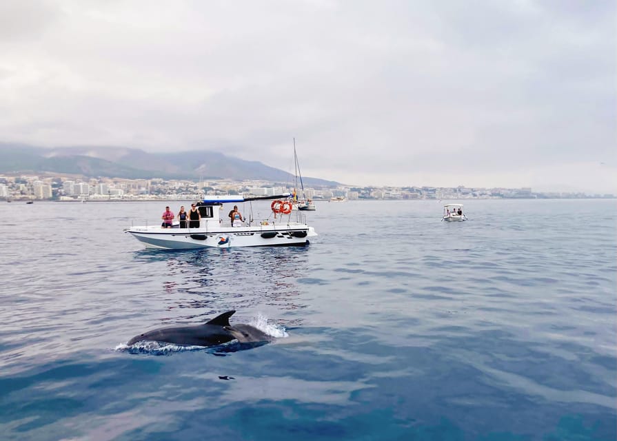 Benalmadena: Private Boat Trip with Drinks & Snacks - Why a private boat beats a big-group cruise in Benalmadena
