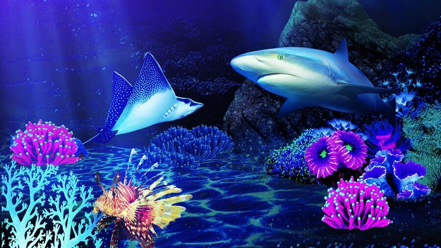 Benalmádena: Sea Life Benalmádena Premium Entry Ticket - Creature feeds, quiz trails, and fun talks: the best way to schedule your day