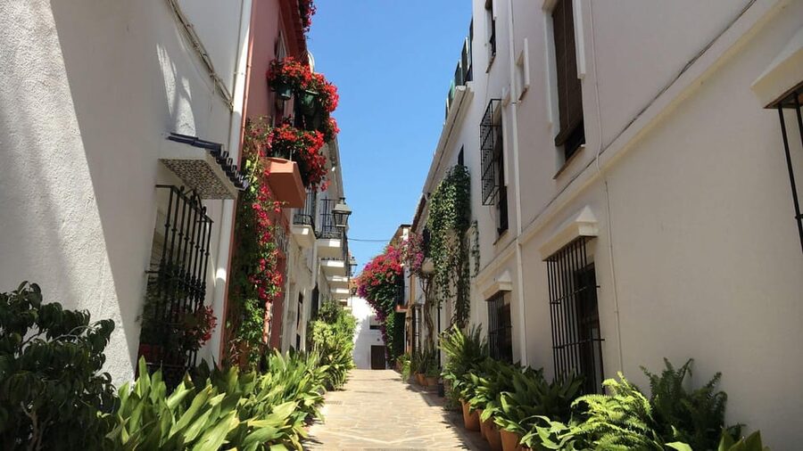 Best of Málaga: Private Walking Tour with a Local - Tapas, Wine, and Beach Navigation You Can Use