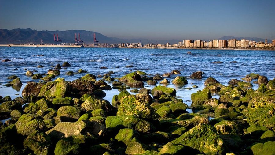 Best of Málaga: Private Walking Tour with a Local - How the 1 to 6 Hour Format Fits Real Days