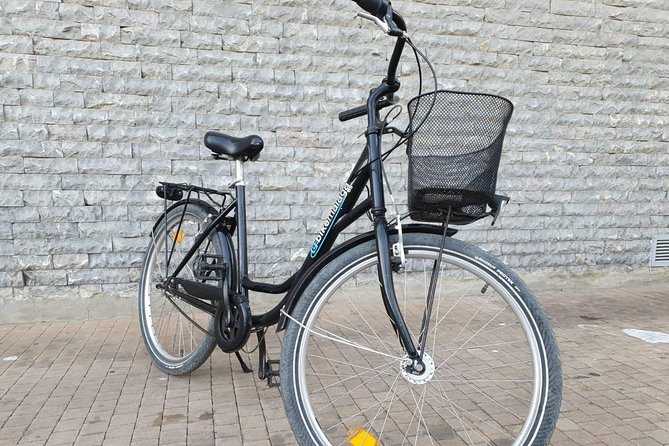 Bike Rental in Malaga - The Price: $18.02 Per Person for a Full Day of Flexibility