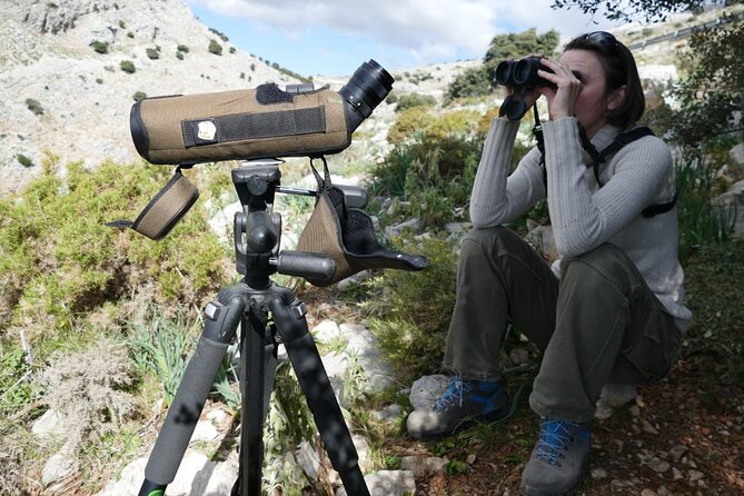 Birding Costa del Sol Day tour - A Costa del Sol Bird Day That Makes Sense for Your Time