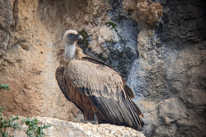 Birding Costa del Sol Day tour - Stop 2: Playa Guadalhorce and the Guadalhorce Estuary Wetlands