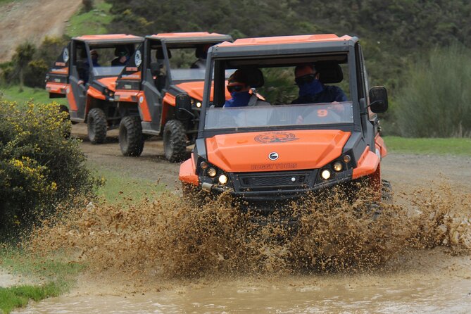 Buggy Adventure with Incredible Views of the Sea and the Reservoir - Key highlights you’ll feel fast