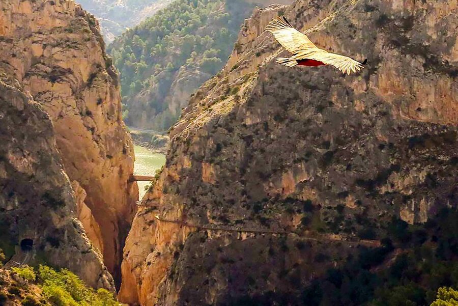 Caminito del Rey: Entry Ticket - Getting to the start at the north entrance (Ardales)