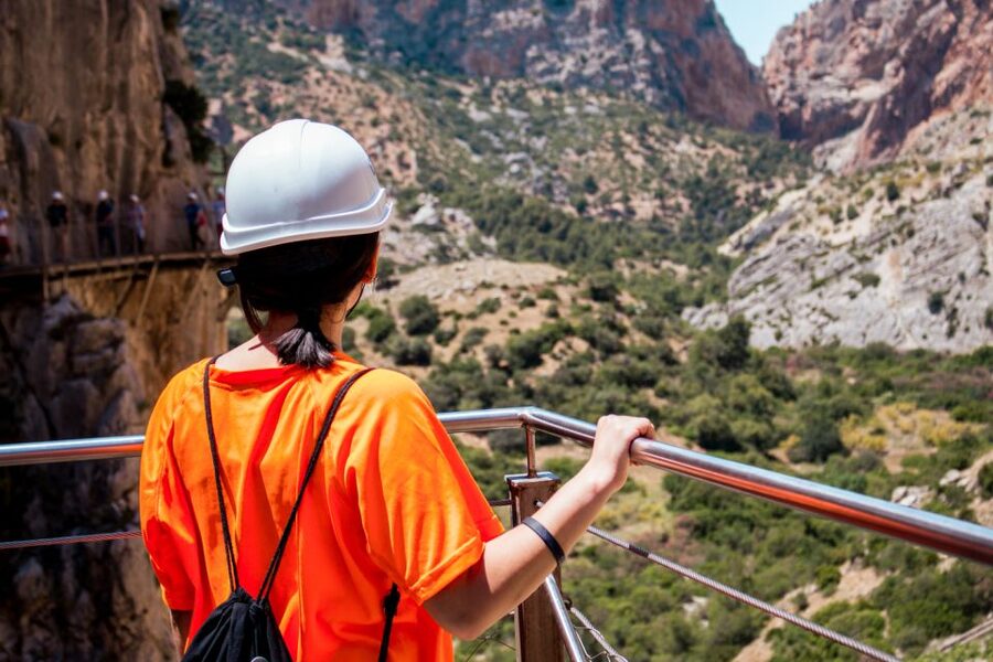 Caminito del Rey: Guided Hiking Tour with Entrance Tickets - Key highlights you will feel fast