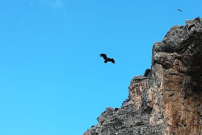 Caminito del Rey Trekking Walkway - Who this tour suits, and who should skip it