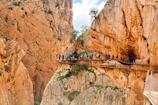 Caminito del Rey with Pickup from Malaga City - The bridge moment: the part people remember