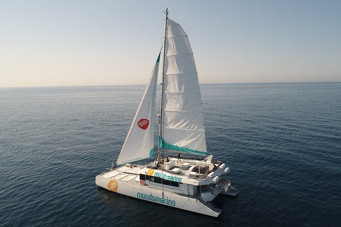Catamaran tour with swimming stop in Malaga - Key highlights you should care about