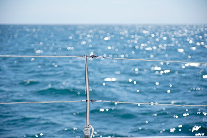 Catamaran tour with swimming stop in Malaga - Onboard bar rules, and what to bring