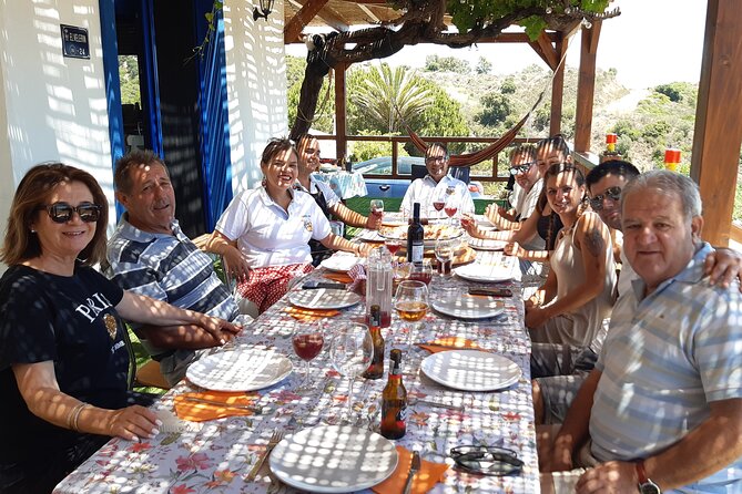 Chefcooking Paella from our Andalusian Grandmother at a Family Farm - Price and what you actually get for $138.17