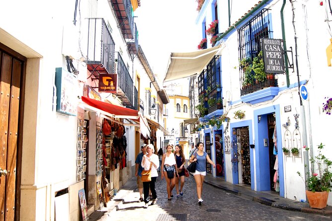 Cordoba and its Mosque from Málaga with Private Transfer - The heart of the trip: the Mezquita-Catedral visit