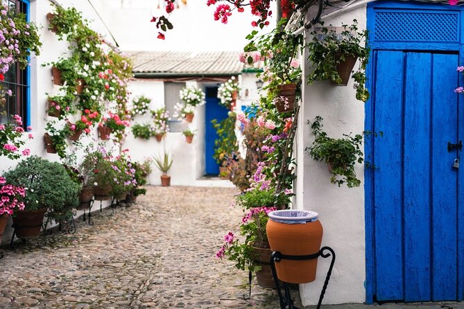 Cordoba Full Day Trip with Mosque Entrance from Malaga - Courtyards and patios after the heavy hitters