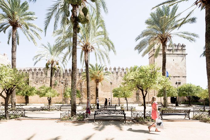 Cordoba Tour with Mosque, Synagogue and Patios from Malaga - Key Highlights You Should Know Before You Go