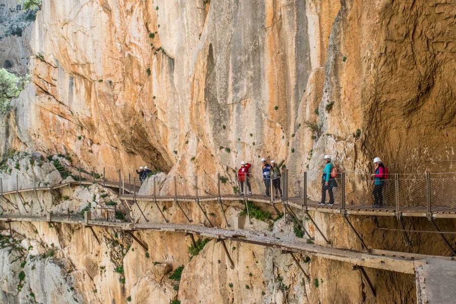 Costa del Sol: Caminito del Rey Guided Trip - What the licensed guide adds (beyond pointing and walking)