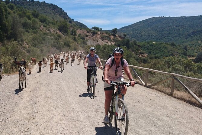 Cycling - Via Verde de la Sierra - 36km - Easy Level - Transfers from Ronda: saving your energy for the ride