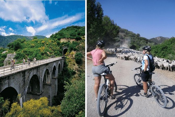 Cycling - Via Verde de la Sierra - 36km - Easy Level - The small-group feel: more attention without the crowd