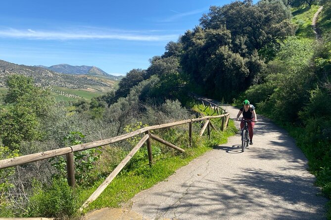 Cycling - Via Verde de la Sierra - Easy Difficulty - Ronda - Via Verde de la Sierra: The old train line effect