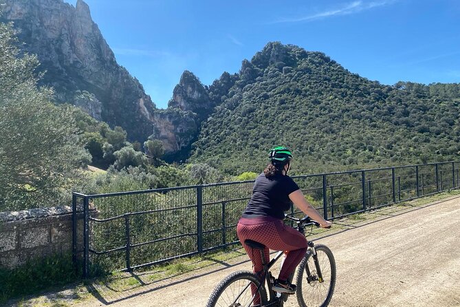 Cycling - Via Verde de la Sierra - Easy Difficulty - Ronda - Price and value: what $132.03 includes, and what it is really buying