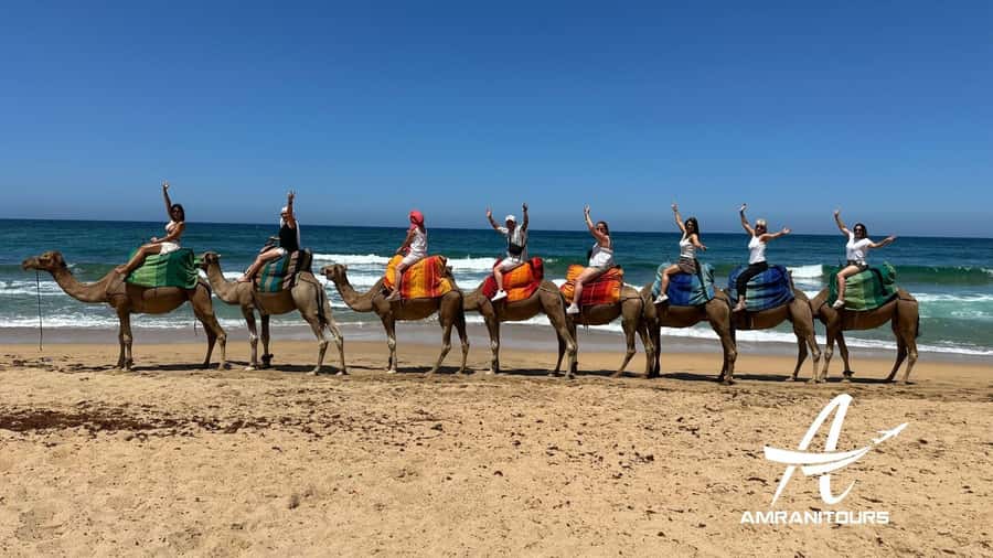Day trip to Tangier Morocco from Malaga All inclusive - Tangier American Legation Museum and the Marshan side