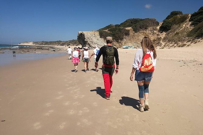 Dayhikes with pick-up from Marbella and Estepona - Stop 1 in Sierra de las Nieves: what the national park experience actually gives you